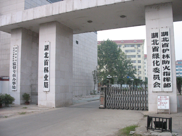 黄A无码片内射无码视频